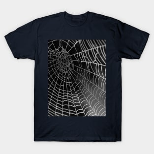 Spider's nest T-Shirt